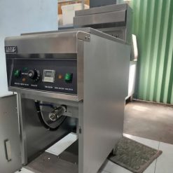 Bếp chiên nhúng điện 1 hộc Efs28 Eagle 659727464 1593493615450305 1378344739184383878 n