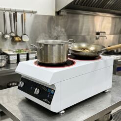 Alternative view of Bếp Từ Đôi Dạng Đứng Đa Công Suất LESTOV LT-B300II-B105